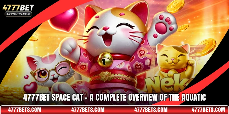 4777BET Space Cat - A Complete Overview Of The Aquatic