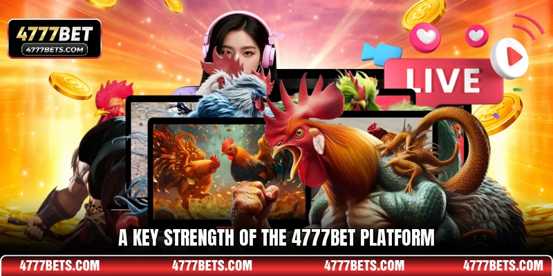 A key strength of the 4777BET platform