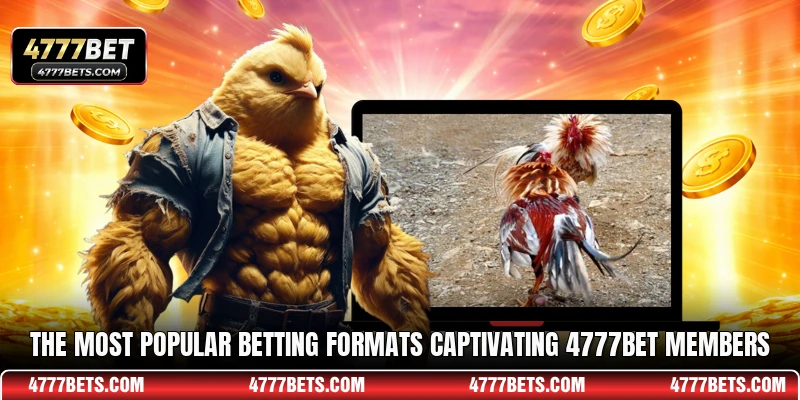 The most popular betting formats captivating 4777BET members